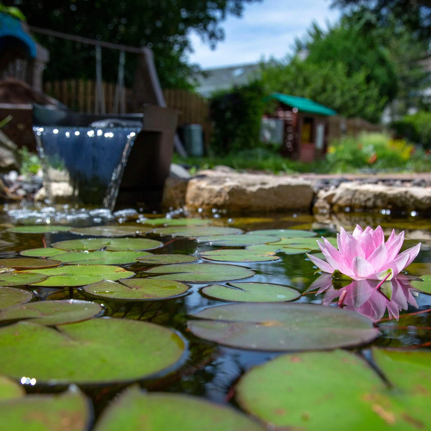 Aquascape Pond Filter and Waterfall Spillway