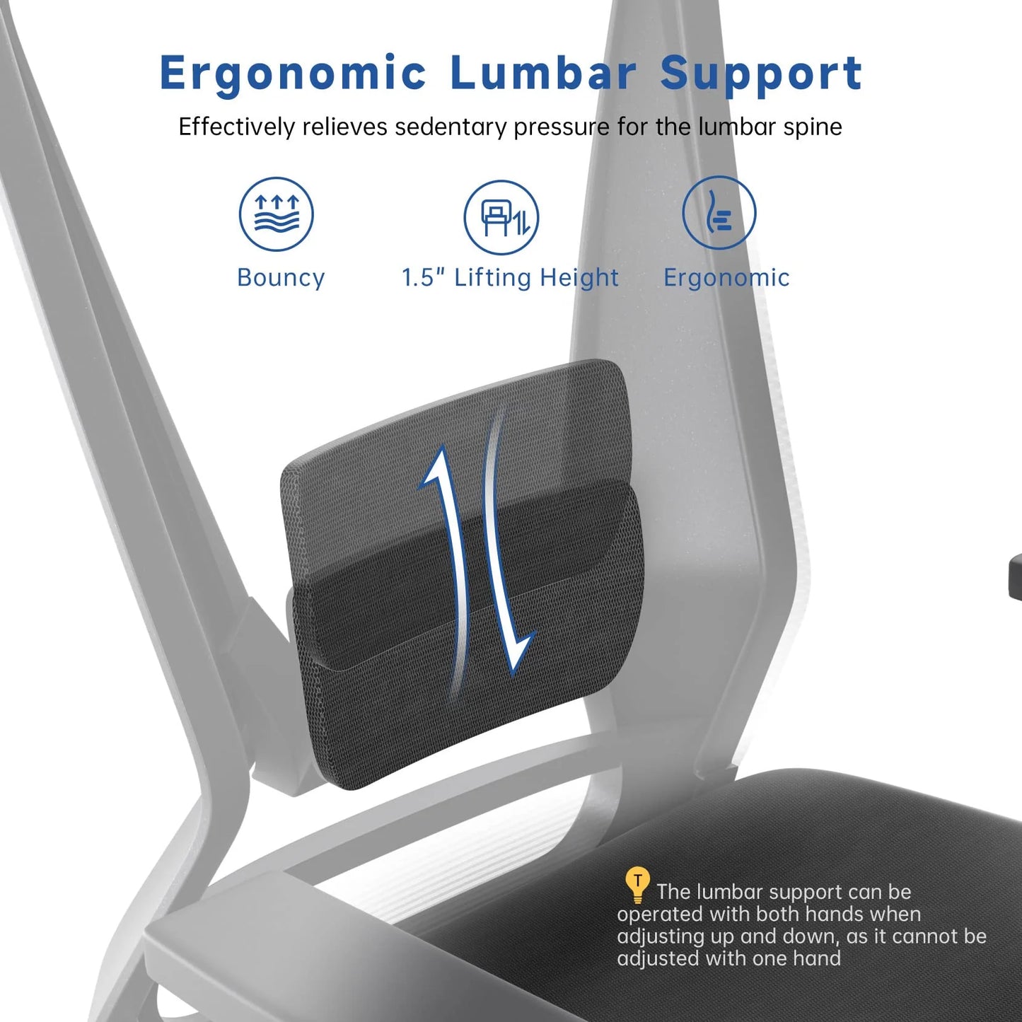 Dripex Ergonomic Office Chair with Lumbar Support