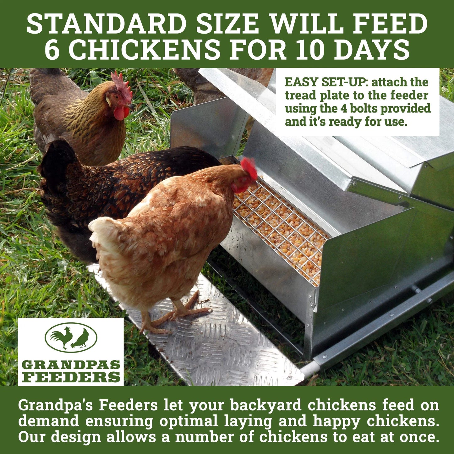 Grandpa's Feeders Automatic Chicken Feeder