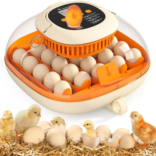 Chickcozy Automatic 25 Egg Incubator for Hatching Chicks