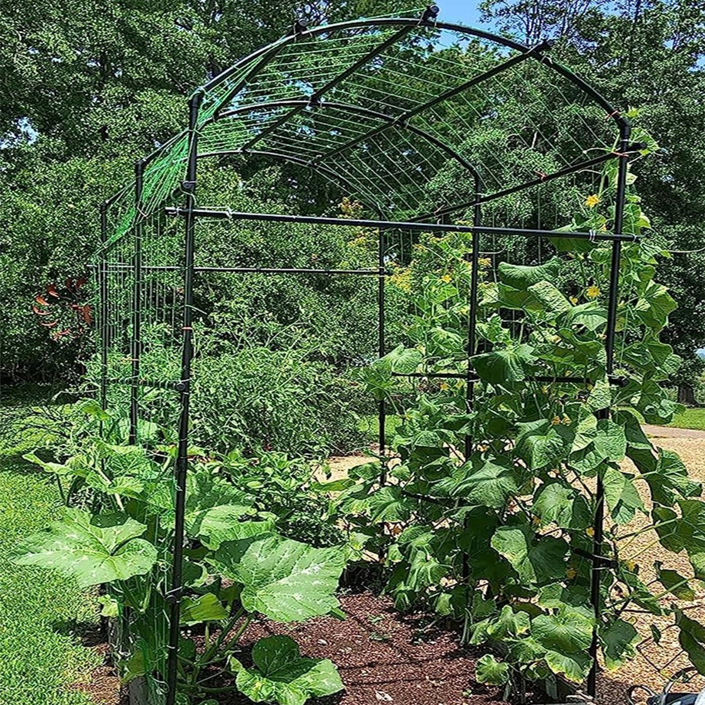 DoCred Tall Garden Arch Trellis for Climbing Plants