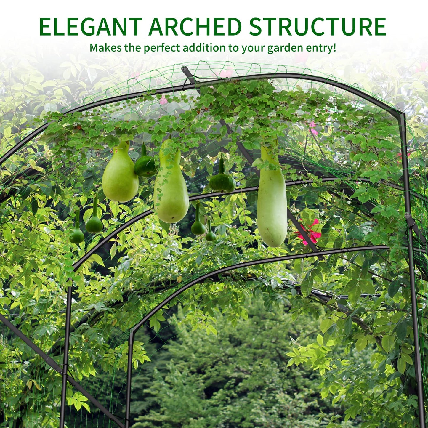 DoCred Tall Garden Arch Trellis for Climbing Plants